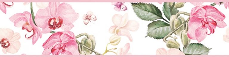Cenefa decorativa floral |Flor y mariposa borde rosa-Floral