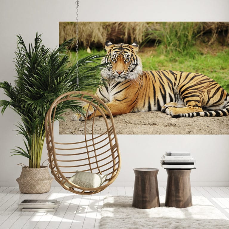 Fotomural Premium Tigre-Premium